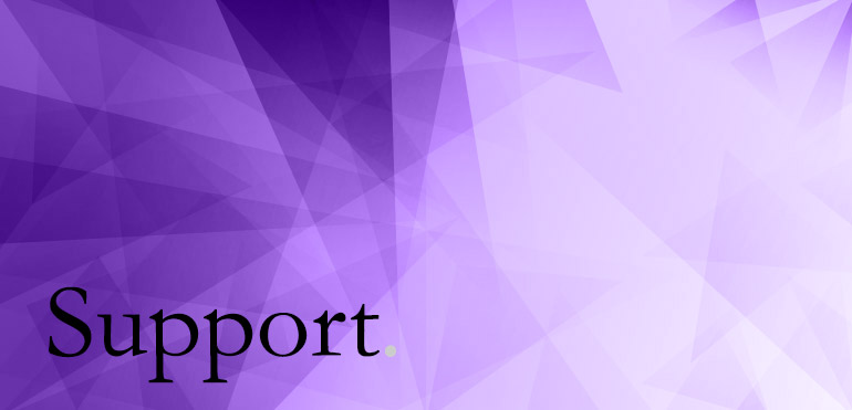 Accountancy support image
